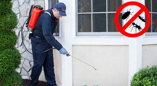 Beypazarı Hamam Böceği İlaçlama böcek ilaçlama ve haşere kontrolü — ilaclama-tr.com